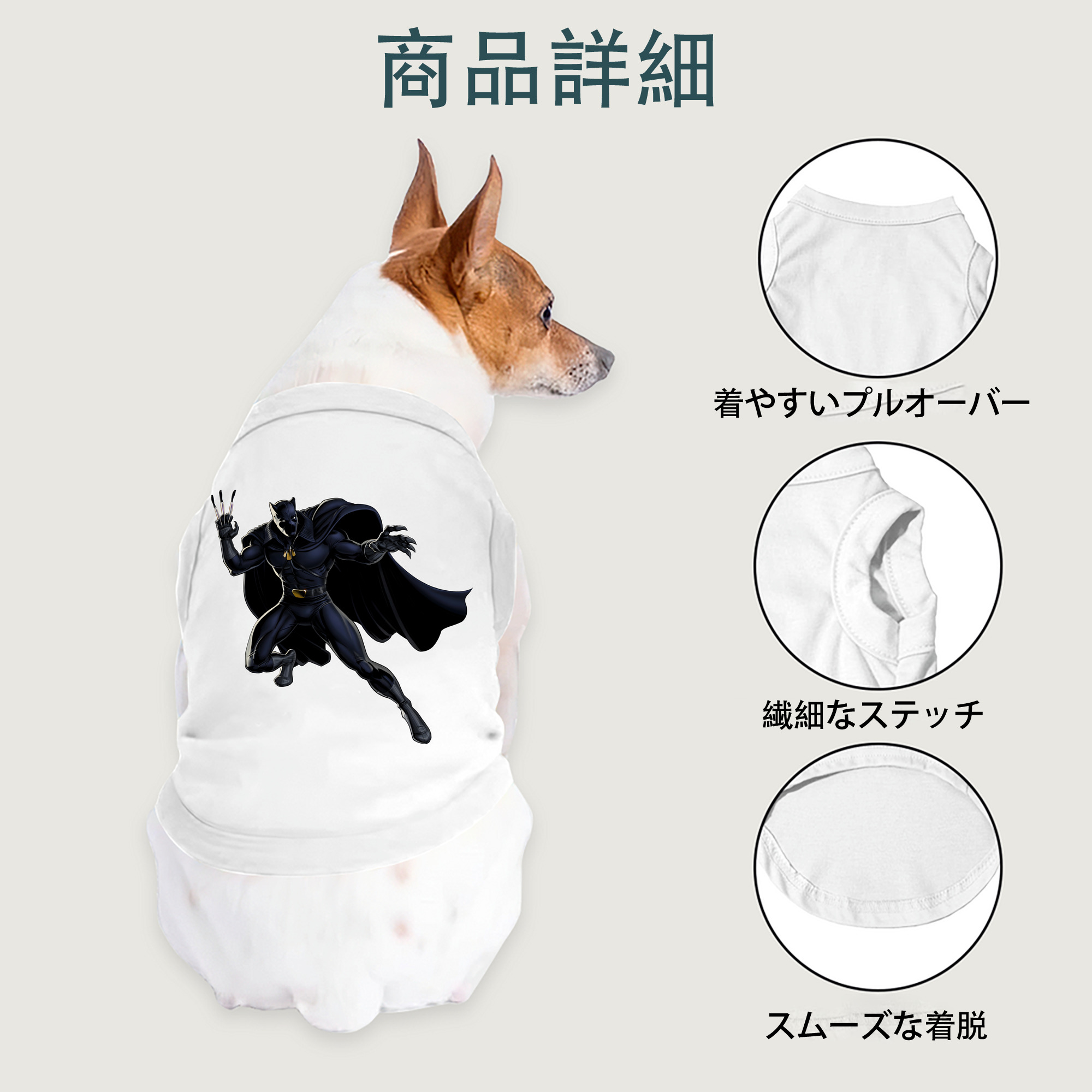 一般的なイメージ
