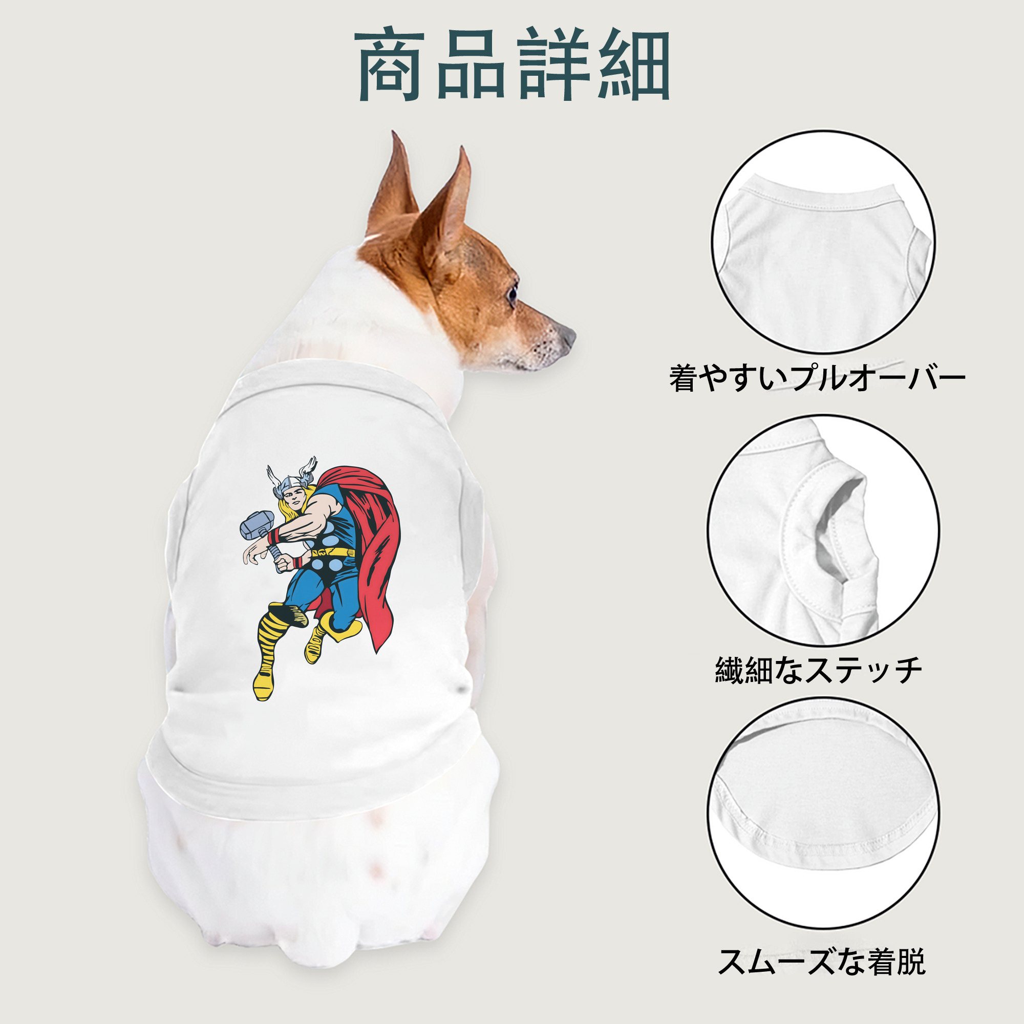 一般的なイメージ