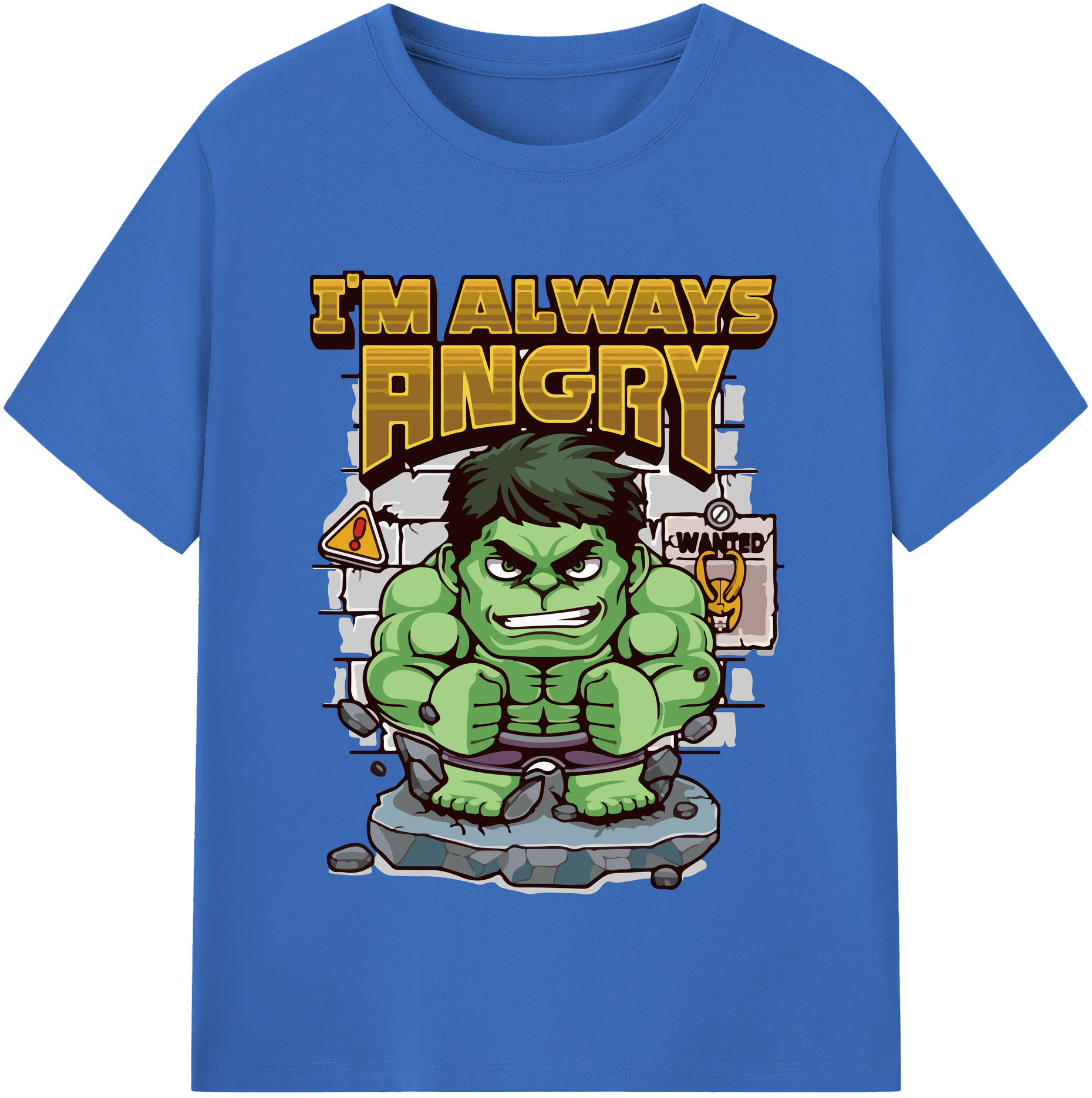 （画像用） アベンジャーズ The Avengers 綿100％半袖Tシャツ（フロントプリント）