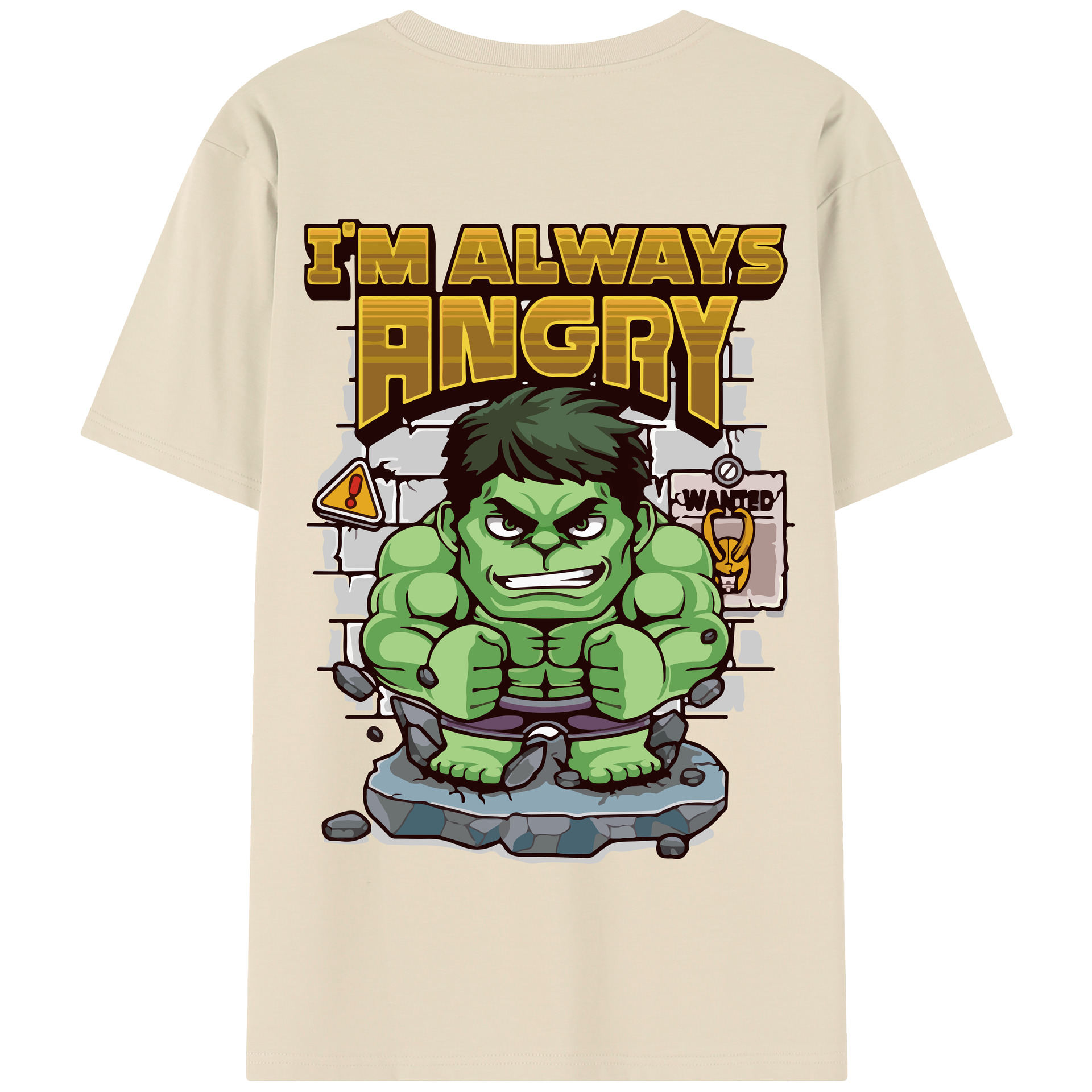 （画像用） アベンジャーズ The Avengers 綿100％半袖Tシャツ（背面プリント）