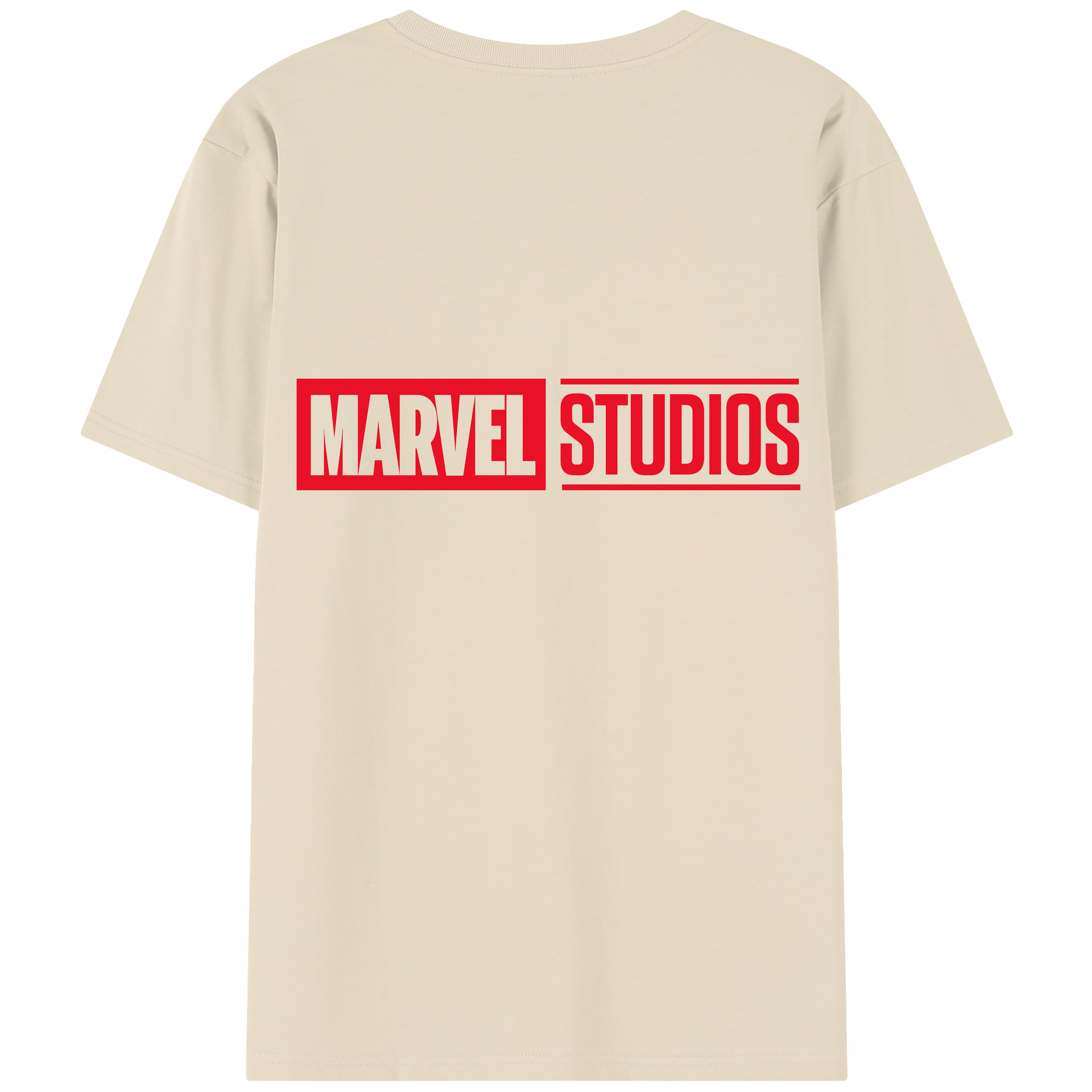 （画像用） アベンジャーズ The Avengers 綿100％半袖Tシャツ（背面プリント）