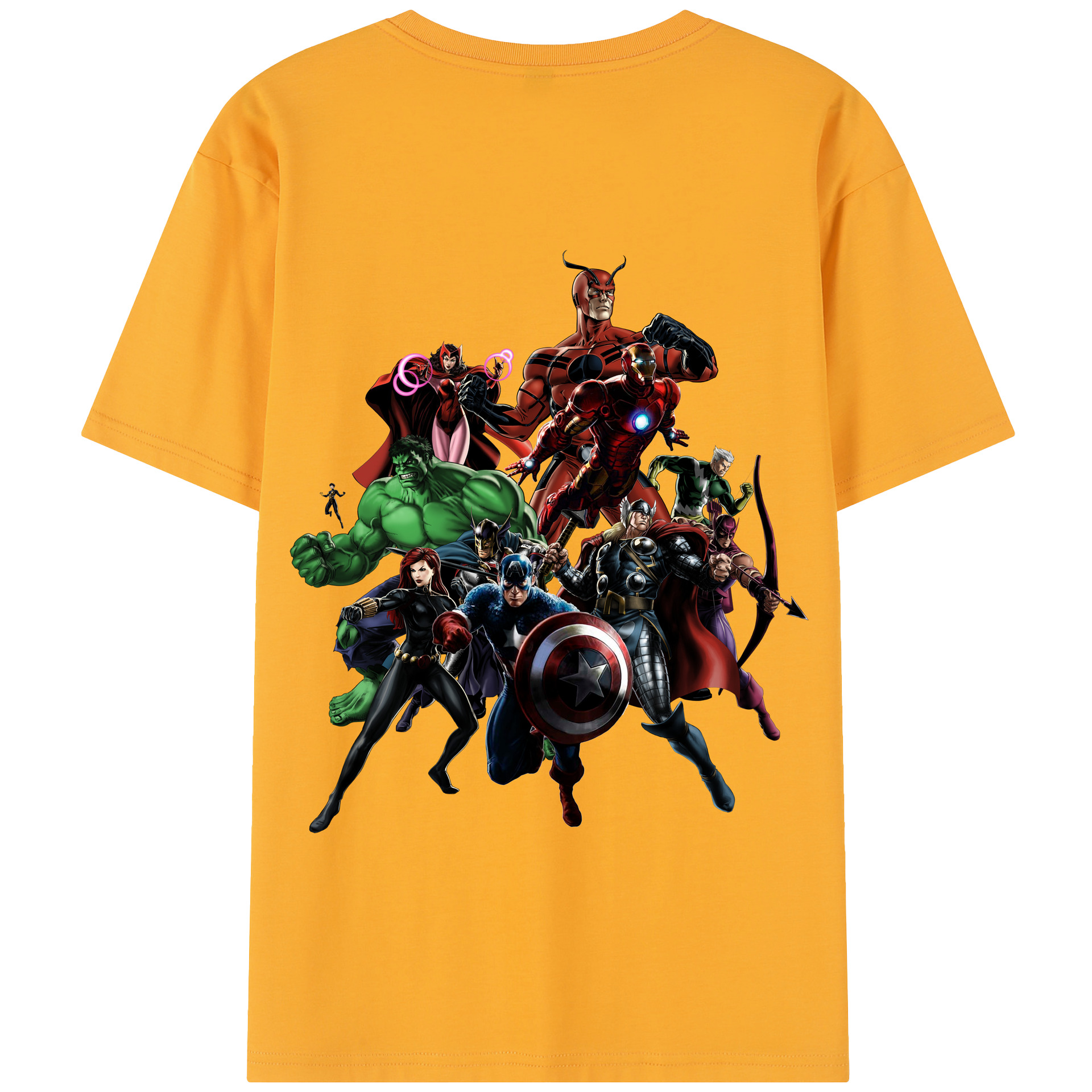 （画像用） アベンジャーズ The Avengers 綿100％半袖Tシャツ（背面プリント）