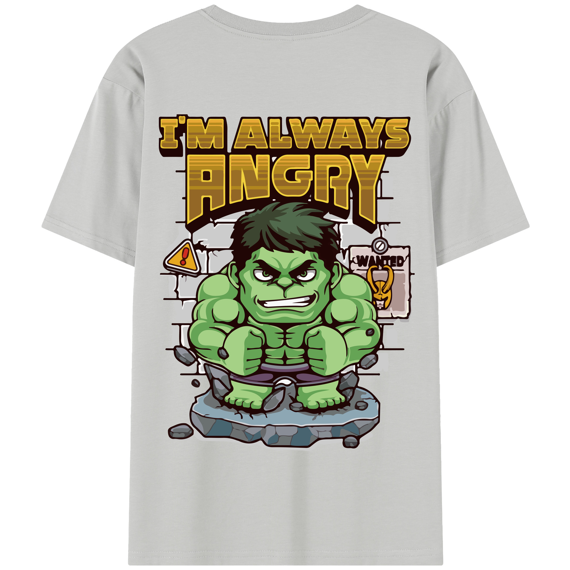 （画像用） アベンジャーズ The Avengers 綿100％半袖Tシャツ（背面プリント）