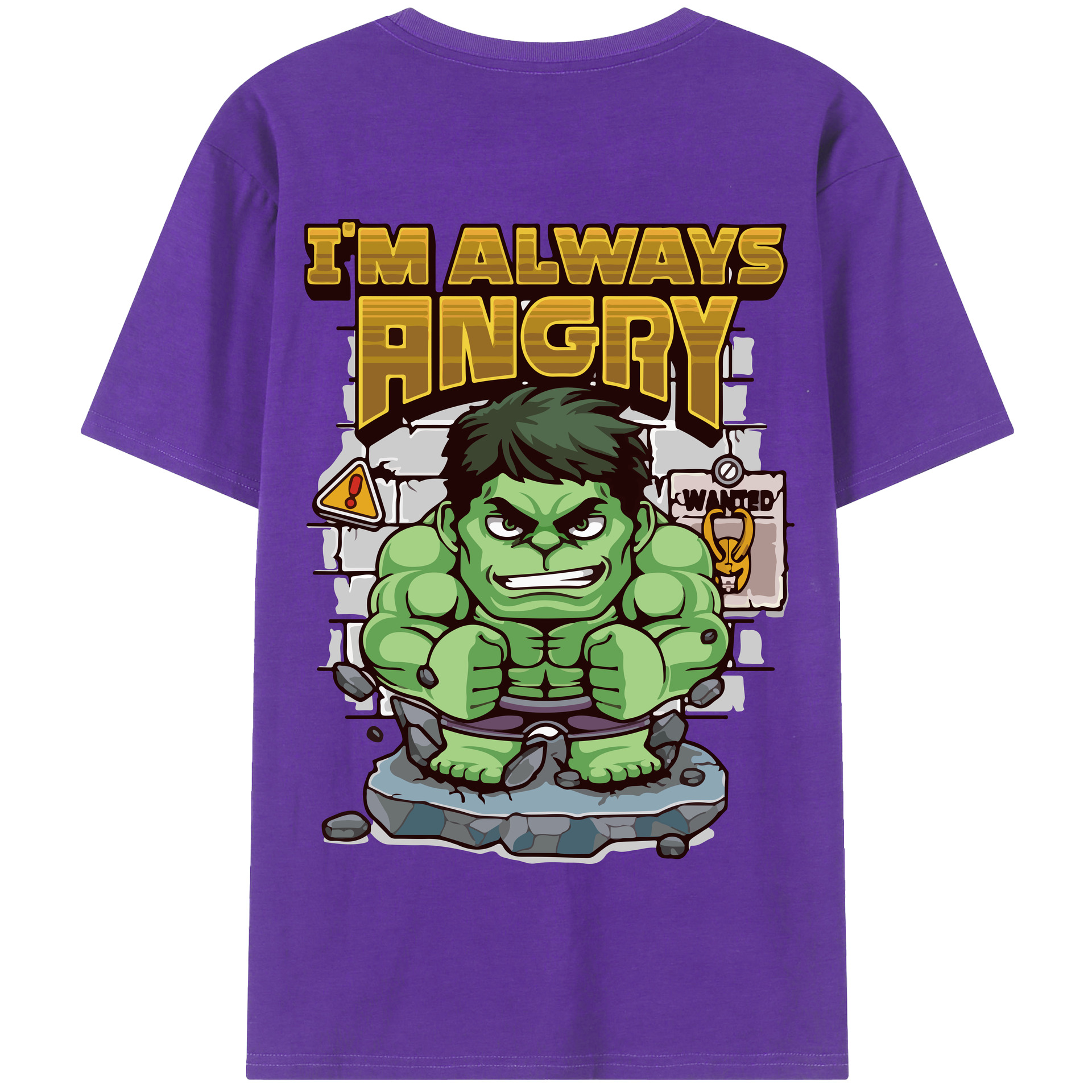（画像用） アベンジャーズ The Avengers 綿100％半袖Tシャツ（背面プリント）