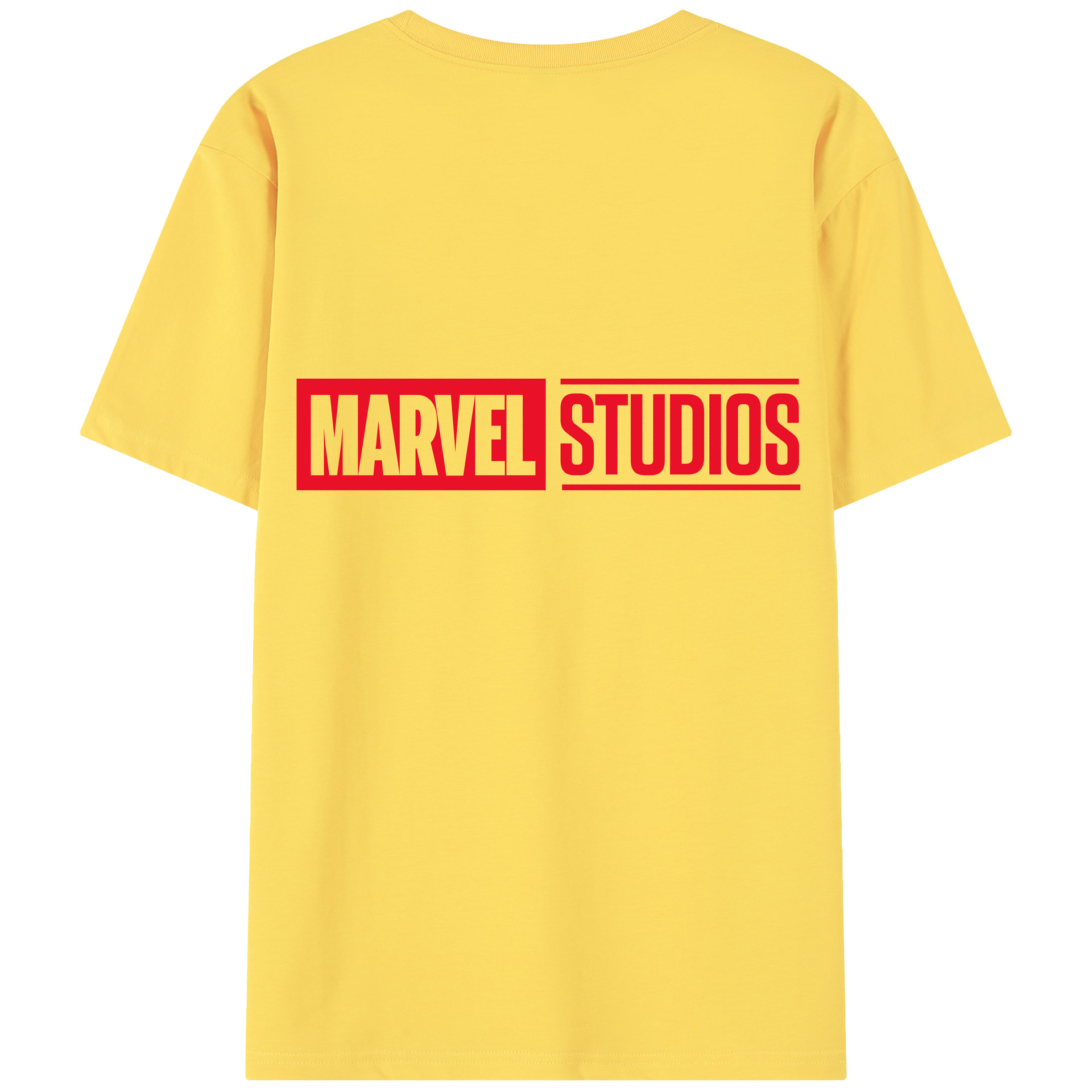 （画像用） アベンジャーズ The Avengers 綿100％半袖Tシャツ（背面プリント）