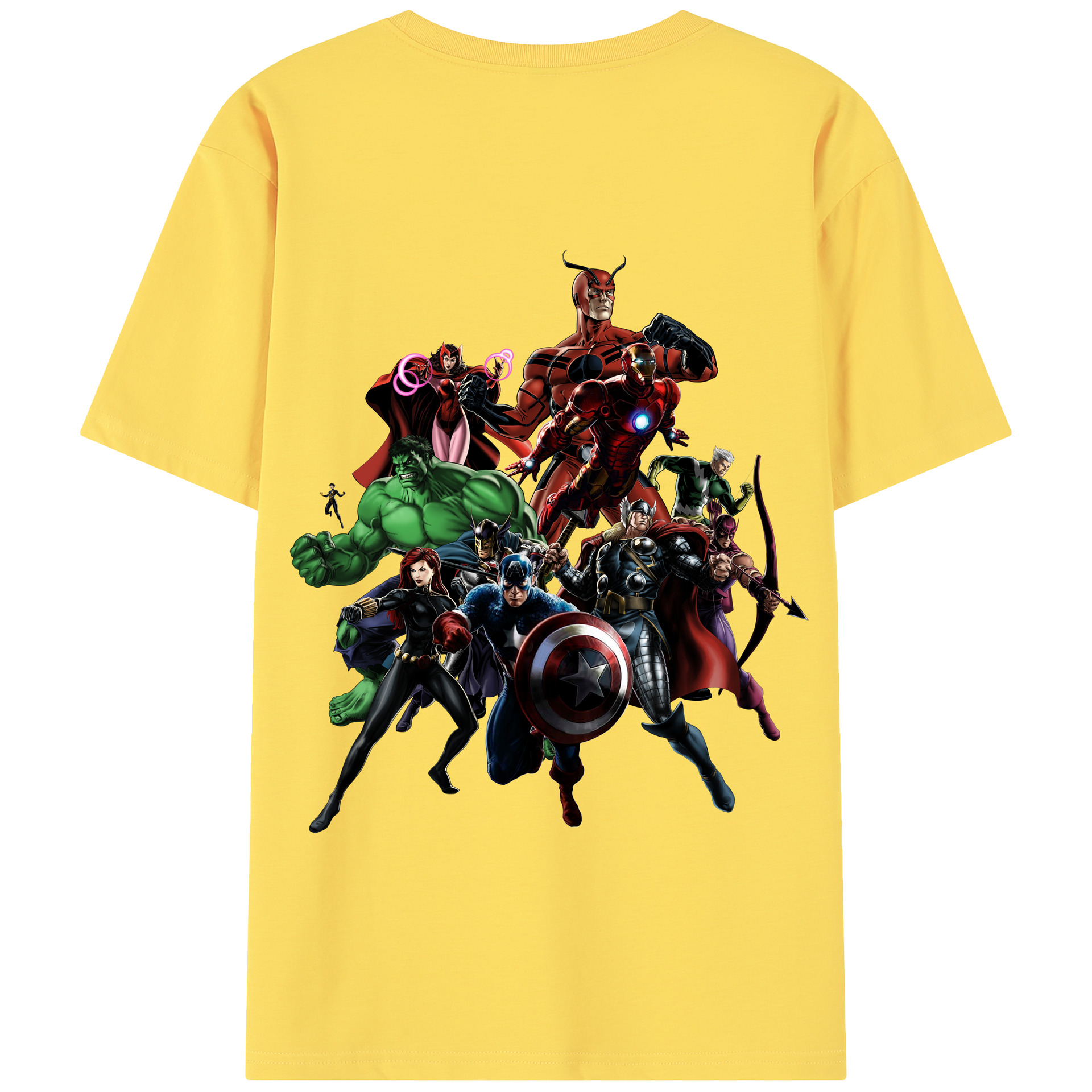 （画像用） アベンジャーズ The Avengers 綿100％半袖Tシャツ（背面プリント）